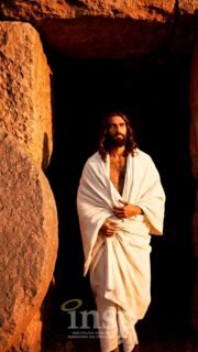 Domingo de Páscoa: a celebração da Ressurreição, da vida que vence a morte. ✨
Um convite à alegria, à renovação e a recomeçar com esperança. 🤍
#DomingoDePáscoa #Páscoa #Ressurreição #Esperança