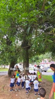 Manhã organizada, rotina mais leve e uma educação que faz a diferença desde os primeiros anos 💙☀️

No INSP Jacarepaguá, a Educação Infantil no período da manhã é a escolha ideal para famílias que buscam praticidade sem abrir mão de qualidade. Aqui, seu filho aprende, explora e se desenvolve em um ambiente completo, com experiências que estimulam cada fase do crescimento. 🌿✨

E para ainda mais comodidade, oferecemos horário complementar integral, garantindo cuidado e acompanhamento ao longo de todo o dia. 💛

Vagas abertas para crianças de 1 a 5 anos.
Entre em contato e garanta a sua! 📲

#INSPJacarepaguá #EducaçãoInfantil #MatrículasAbertas #Jacarepaguá #riodejaneiro