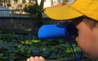 Uma jornada de descobertas no INSP Kids!