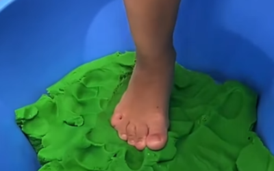 Sentir, explorar, descobrir!