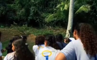 No INSP, nossa floresta é sala de aula!