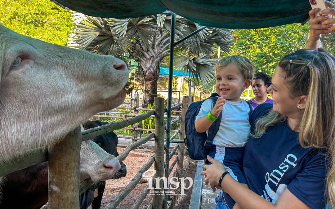 🦙 Um dia de descobertas na Arca do Noah com o INSP Kids! 🌿