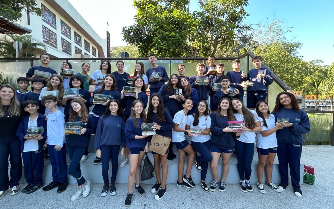 Ecossistema em mãos🌱✨