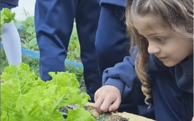 No INSP, a conexão com a natureza começa desde cedo! 🌱💚