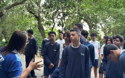 🎒 Aula que vai além da sala!