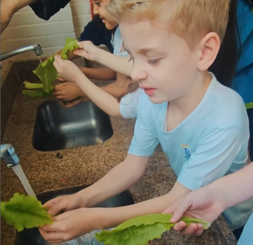 🌿✨ Aprendizado que floresce na horta do INSP Kids
