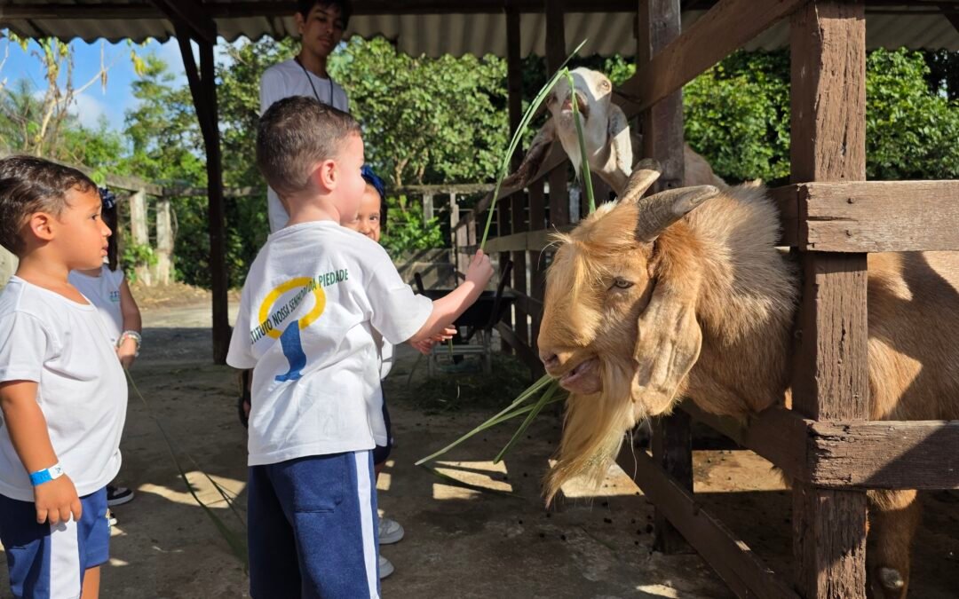 🐄🌿 Um dia de descobertas na fazendinha!