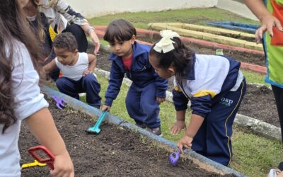 🌱💙 Sementes que cultivam muito mais do que alimentos.